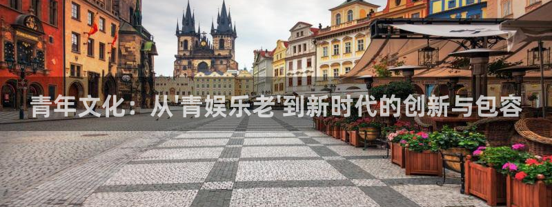 one游戏：青年文化：从\'青娱乐老\'到新时代的创新与包容