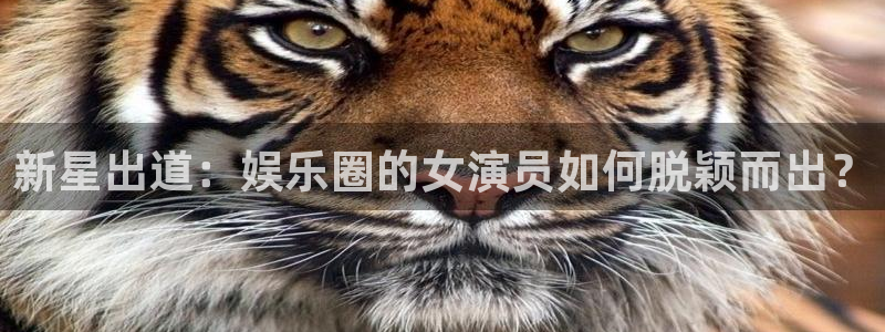 one游戏网站