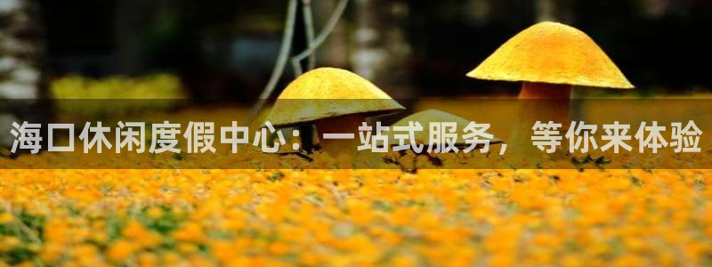 one游戏平台官网入口