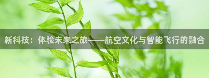 one游戏官网：新科技：体验未来之旅——航空文化与智能飞行的融合