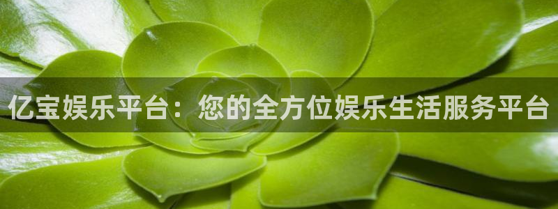 one游戏平台官网入口：亿宝娱乐平台：您的全方位娱乐生活服务平台
