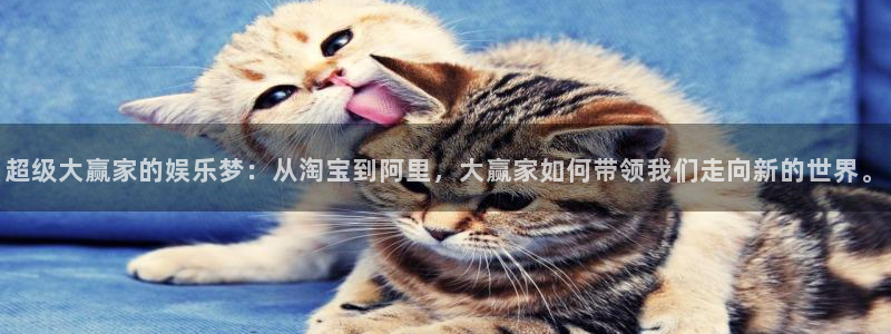 one游戏平台官网入口：超级大赢家的娱乐梦：从淘宝到阿里，大赢家如何带领我们走向新的世界。