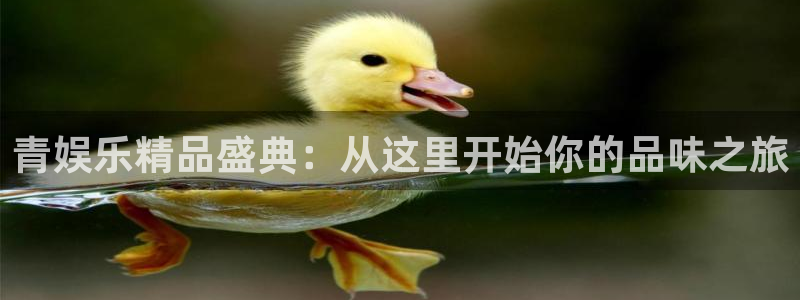 one游戏皇马官网：青娱乐精品盛典：从这里开始你的品味之旅