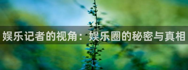 one游戏体育平台：娱乐记者的视角：娱乐圈的秘密与真相