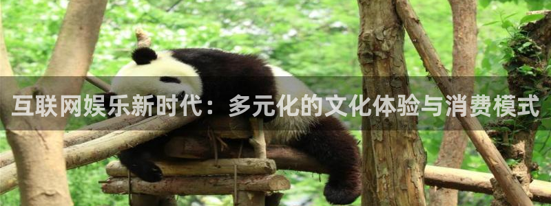 one游戏体育平台：互联网娱乐新时代：多元化的文化体验与消费模式