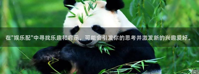 one游戏：在\