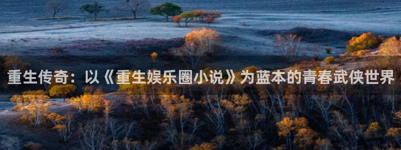 one游戏网站：重生传奇：以《重生娱乐圈小说》为蓝本的青春武侠世界