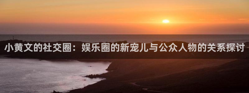 one游戏：小黄文的社交圈：娱乐圈的新宠儿与公众人物的关系探讨